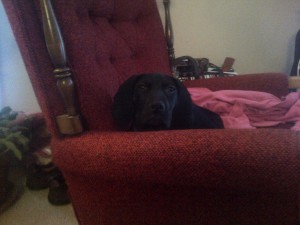 Sully-20140118-00051